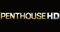 Penthouse HD offerte aux freenautes durant le mois de mars