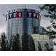 TF1 a r�alis� 99 des cent meilleures performances de l�ann�e 2011 