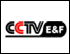 502 - CCTV E&F 