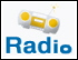 199 - Radios