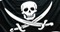 Le parti Pirate fait son entr�e au parlement europ�en