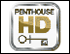177 - Penthouse HD