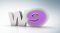 Apr�s M6 Replay, W9 Replay d�barque sur internet