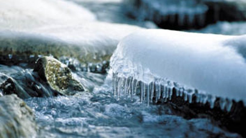 [Documentaire] La planète bleue, bilan de santé