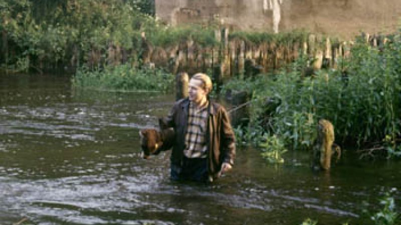 [Film] Le Décalogue 7 : Tu ne voleras point