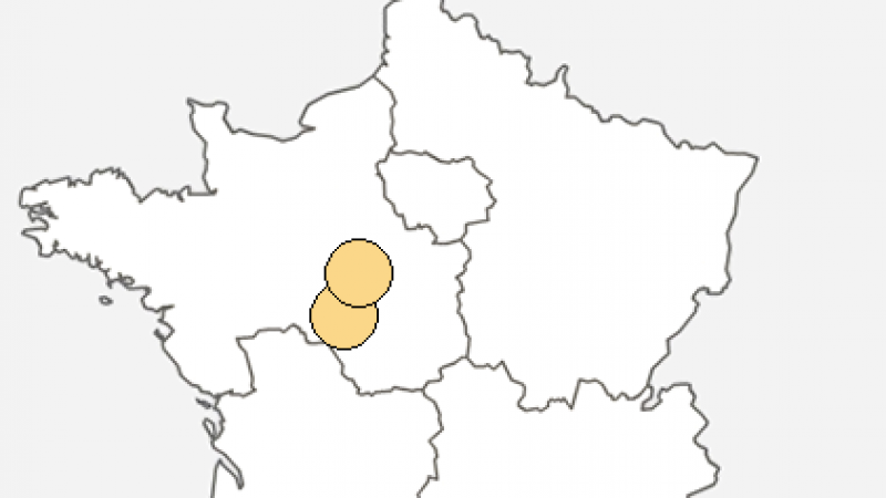 Free : Incident réseau dans le département de l’Indre-et-Loire