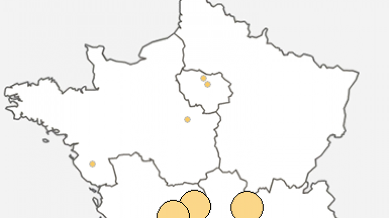 Incident réseau en Haute-Vienne : 63 DSLAMs indisponibles chez Free
