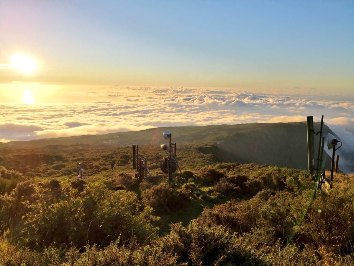 Des riverains anti-ondes s’opposent pour la première fois à l’implantation d’une antenne Free Mobile… à La Réunion