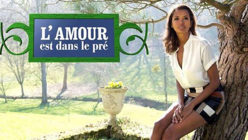 M6 diffuse la saison 13 de ” l’amour est dans le pré” le 20 août