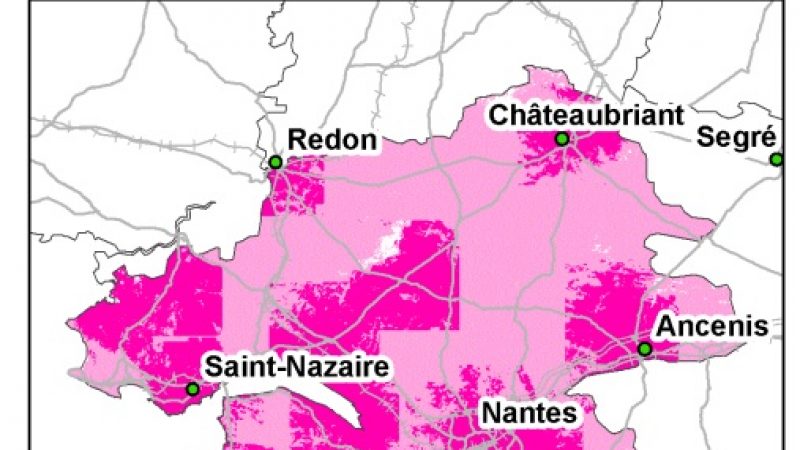 Pays de la Loire : 50 % de la population couverte par les antennes 3 G de Free
