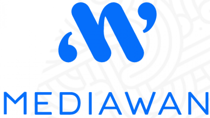 Mediawan (Xavier Niel) se réorganise en 4 pôles : Edition de chaînes, production de contenus, animation et distribution