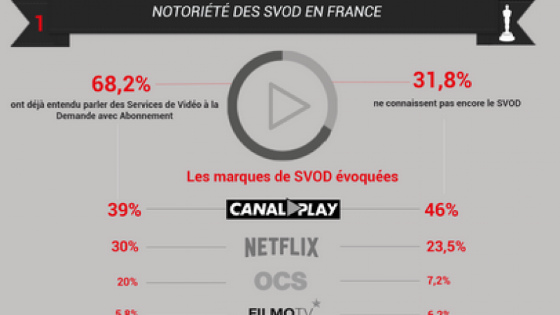 SVOD : le prix et la pauvreté du catalogue pointés du doigt