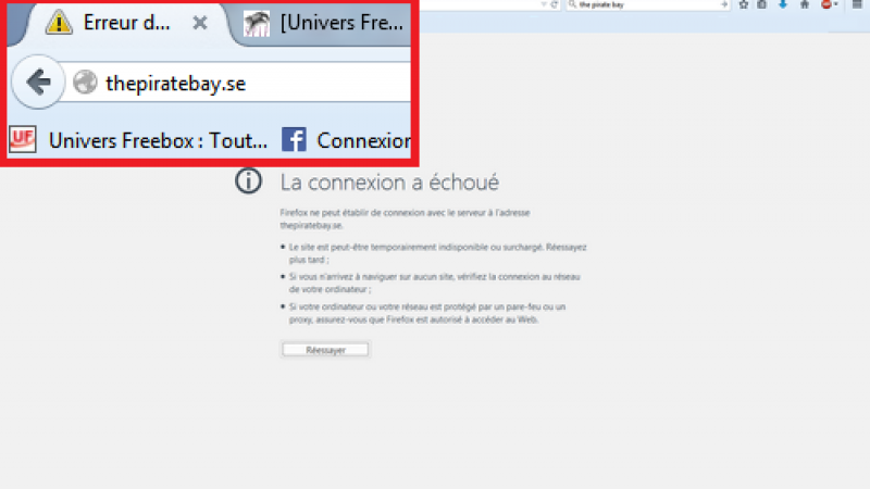 The Pirate Bay finalement bloqué par Free suite au jugement du TGI de Paris