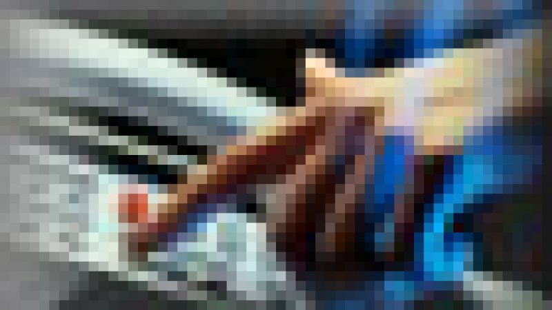 [MAJ] Freebox Révolution : Problème de téléphonie pour certains Freenautes suite au nouveau firmware