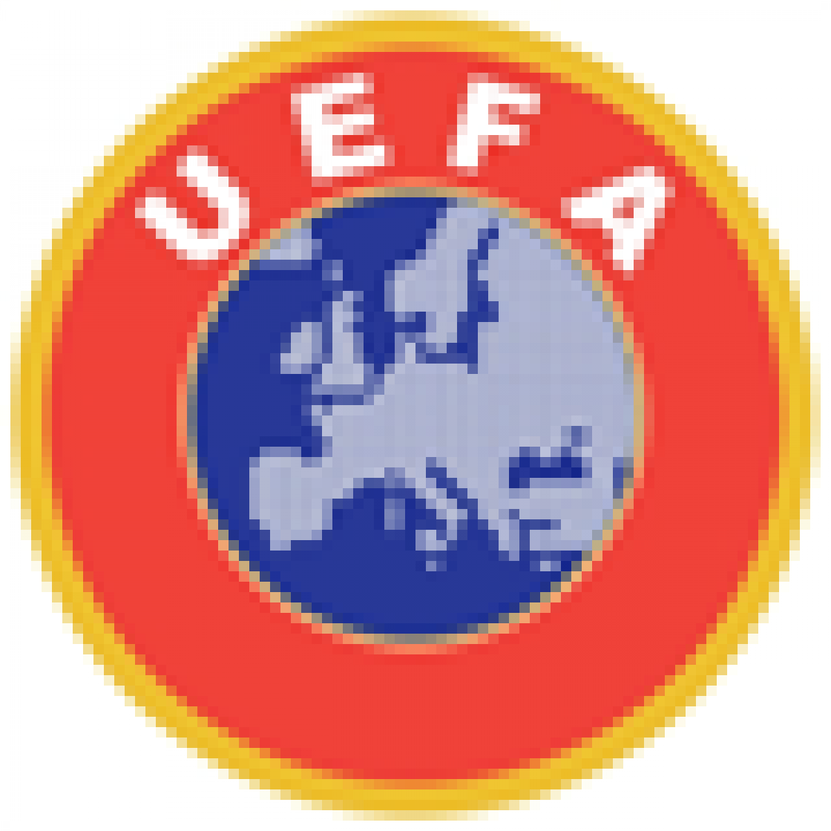 Euro 2012 : Al Jazeera proposerait 130 millions d’euros pour les droits