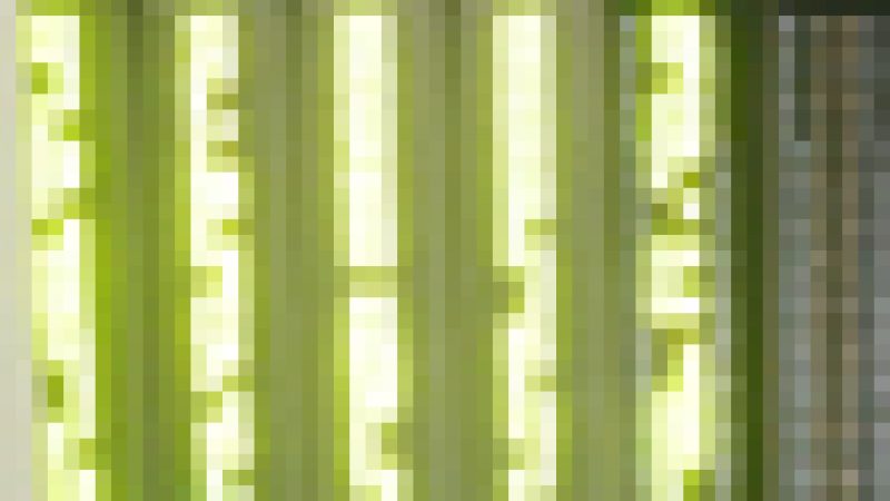 [Résolu] Réseau Free : Grosses perturbations dans le Sud Est de la France