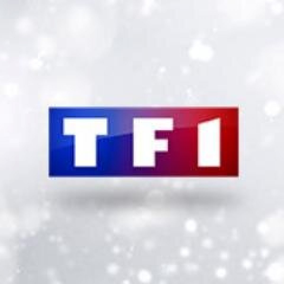TF1 totalise 99 des 100 meilleures audiences 2013