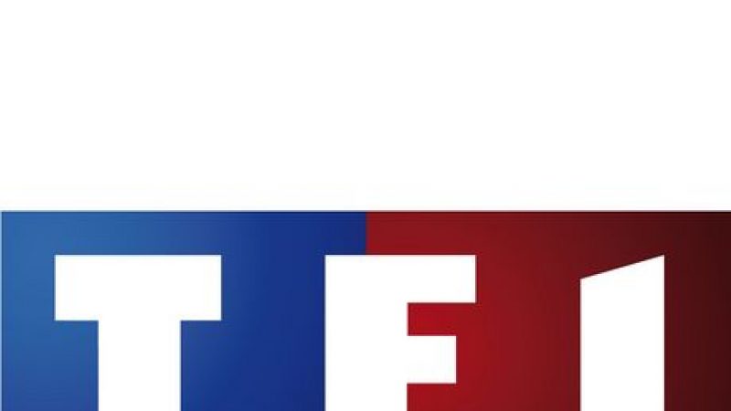 PPDA définitivement condamné à payer 400 000 euros à TF1