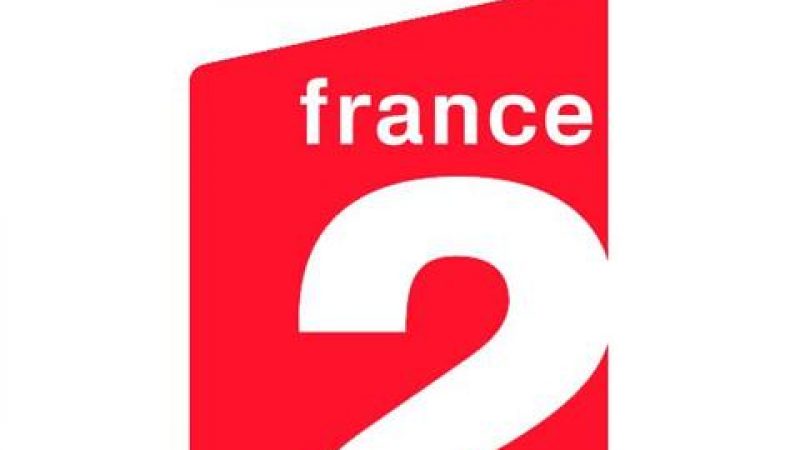 France 2 déprogramme immédiatement “L’émission pour tous” de Ruquier