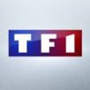Les Enfoirés signent la meilleure audience de l’année pour TF1