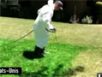 Zapping : Repeindre sa pelouse plutôt que de l’arroser …