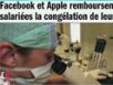 Zapping : Apple et Facebook proposent à leurs salariées de congeler leurs ovocytes…