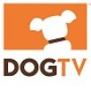 La chaîne canine DOGTV débarque en France