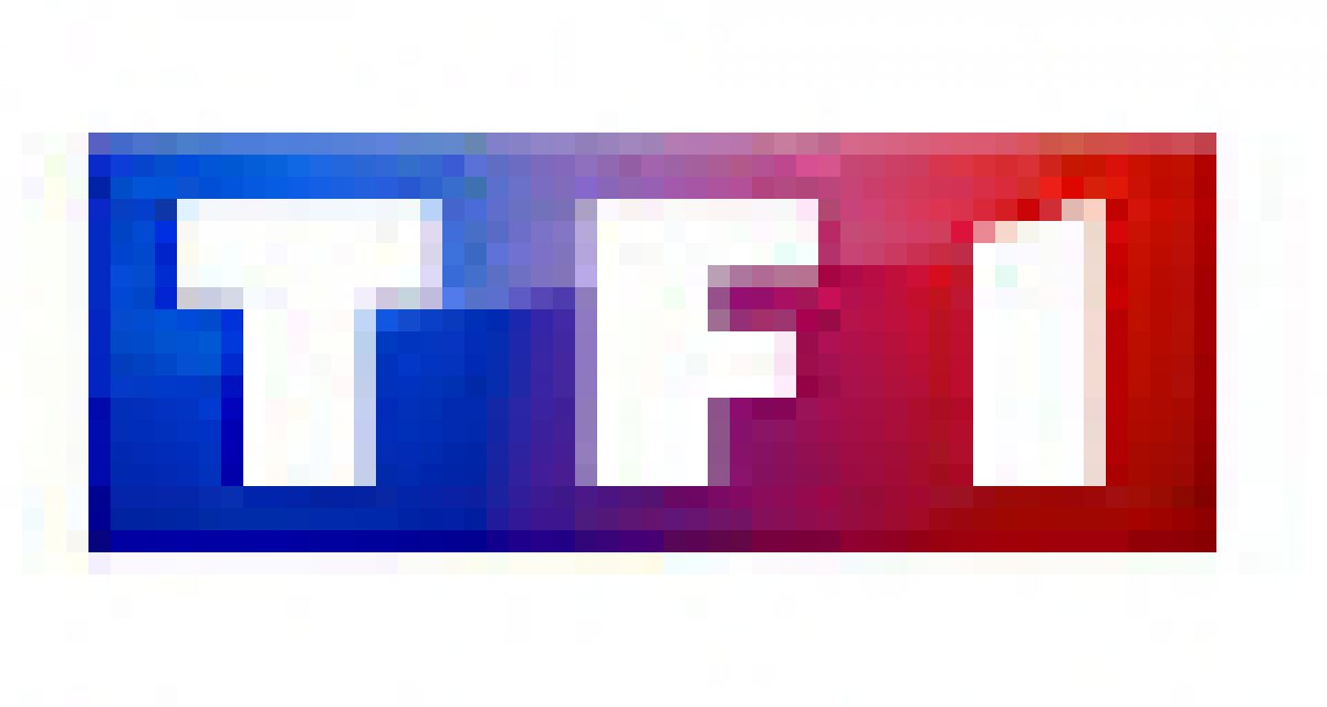 TF1 et le groupe Newen entrent en négociation exclusive. France Télévisions voit rouge.