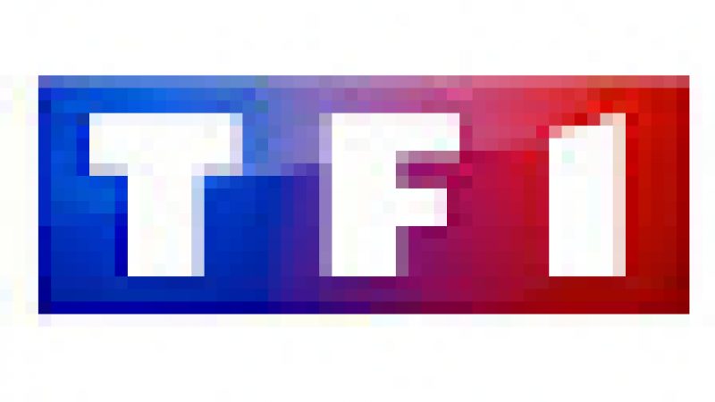 TF1 et le groupe Newen entrent en négociation exclusive. France Télévisions voit rouge.