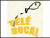 215 – Télé Bocal