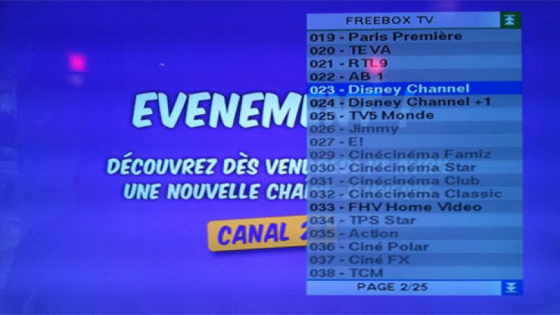 Disney Channel et Disney Channel +1 ont déjà rejoint la zapliste de Freebox TV !