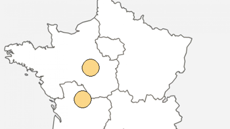 Free : Incident réseau dans le département de la Vienne