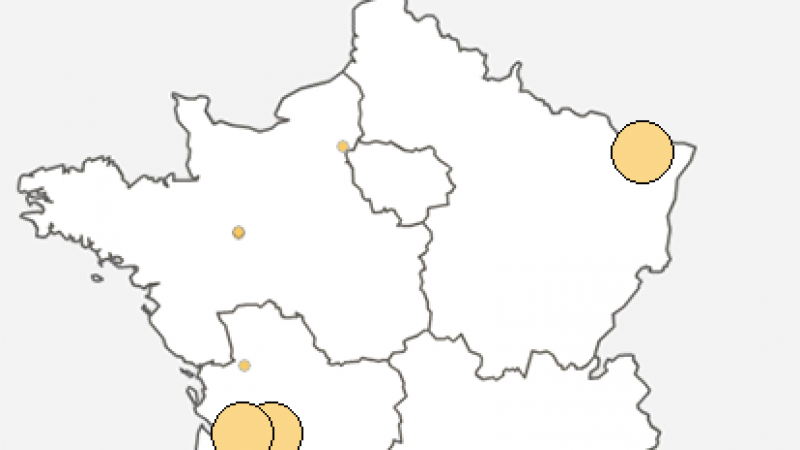 Free : Incident réseau dans le département de la Charente-Maritime