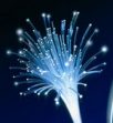 Bilan mitigé pour la fibre optique en France