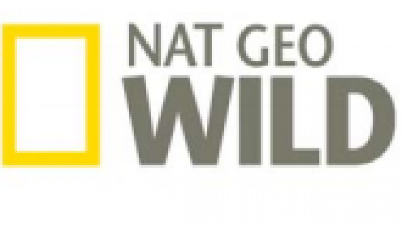 National Geographic Channel arrive dans le bouquet Famille d’Orange