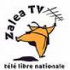 Zalea TV redoute de ne pas être retenue sur la TNT en IDF