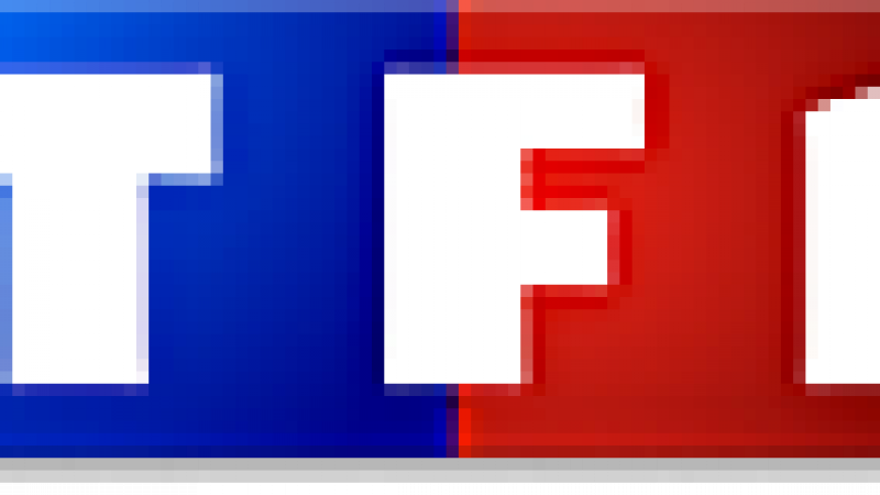 Les chaînes payantes du groupe TF1 prochainement sur Freebox TV