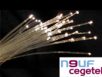 Neuf Cegetel revendique 17 000 abonnés à la fibre optique