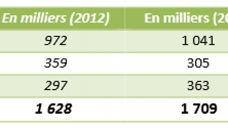 Numéricable publie ses résultats annuels 2013 : 1,7 million d’abonnés