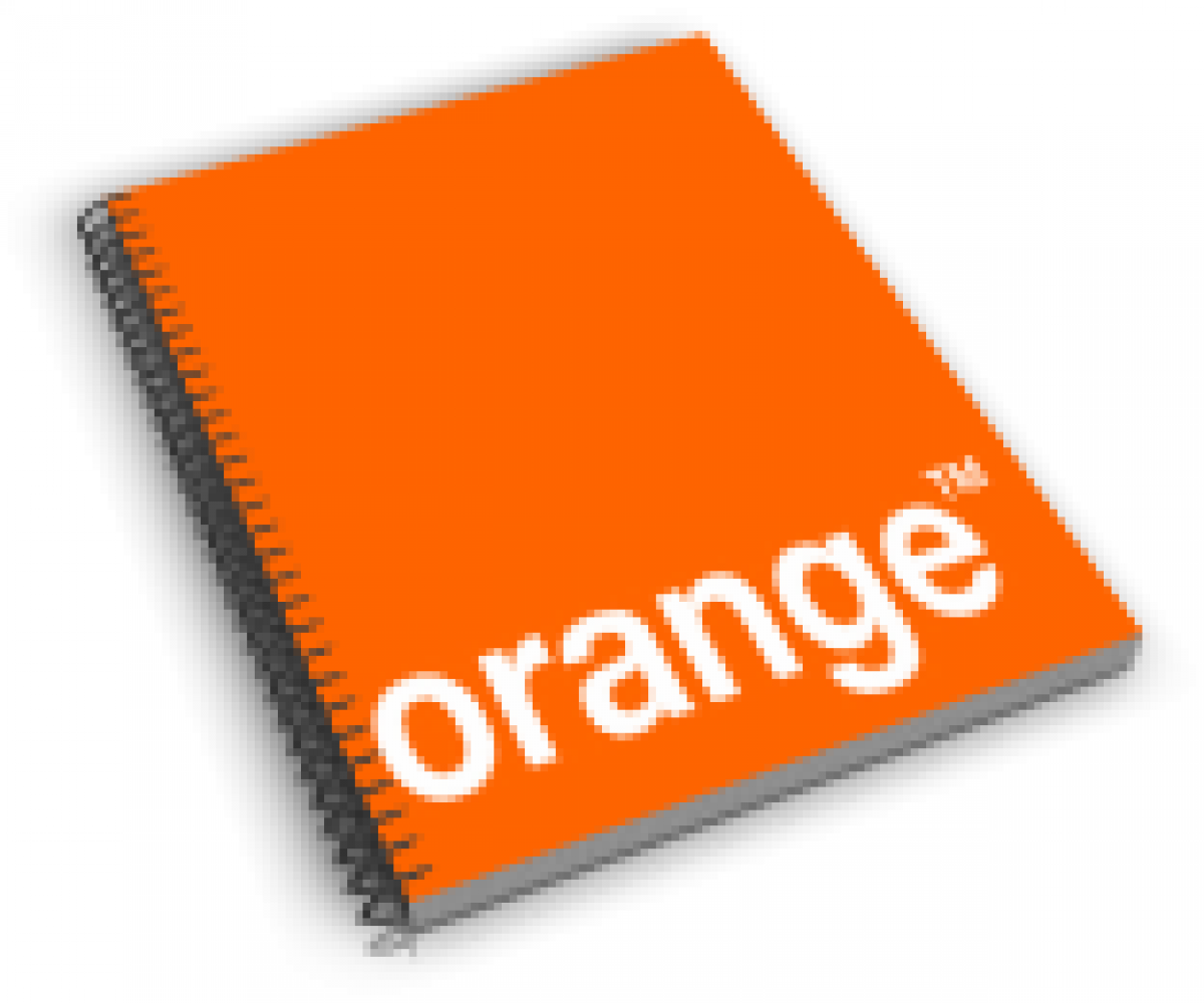 Les résultats d’Orange biaisés (T2 2008)  ?
