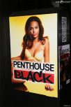 La nouvelle chaîne Penthouse Black débarque dans quelques jours en avant première chez Free