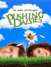 [Série] [MAJ] Pushing Daisies saison 1