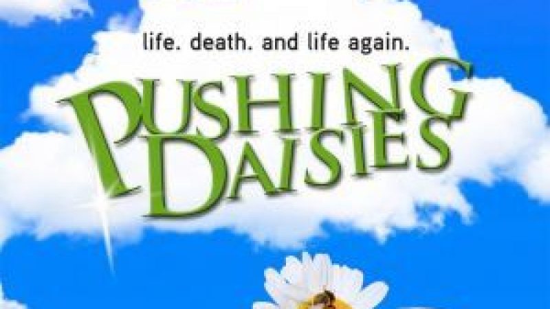 [Série] [MAJ] Pushing Daisies saison 1