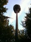 Une antenne Free Mobile cachée dans un pylone-arbre
