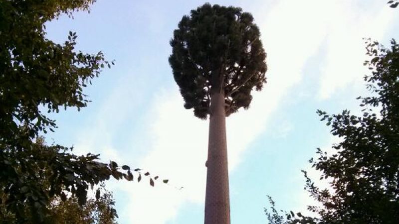 Une antenne Free Mobile cachée dans un pylone-arbre