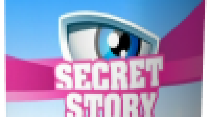 Secret Story 2 ne rejoindra pas Freebox TV