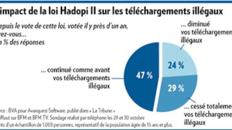 Sondage : L’Hadopi ferait baisser le piratage