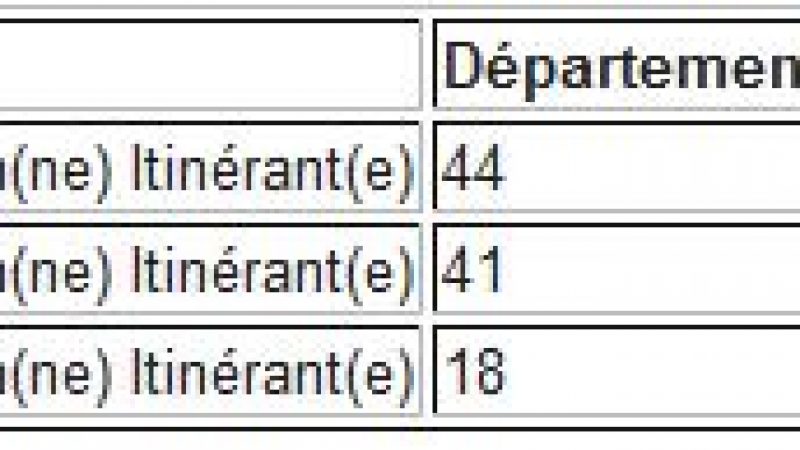 Free recherche des Techniciens Intinérants  sur toute la France et un  Concepteur Système d’Informations.