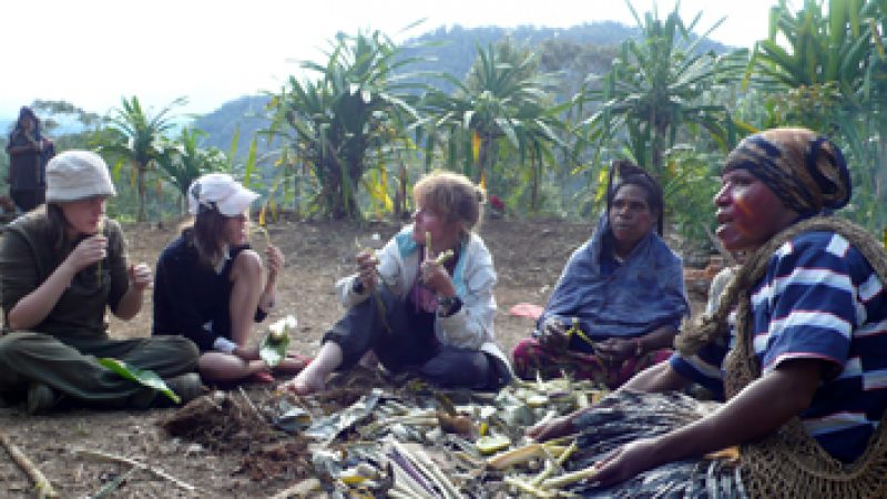 [TV réalité] Bienvenue dans ma tribu