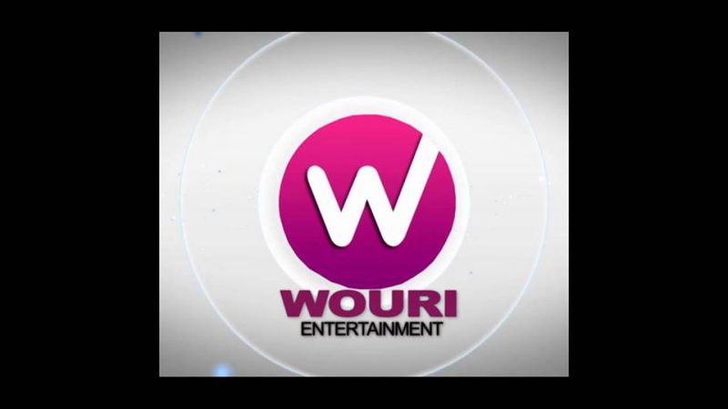 Wouri TV annonce sa disponibilité sur Freebox Mini 4K